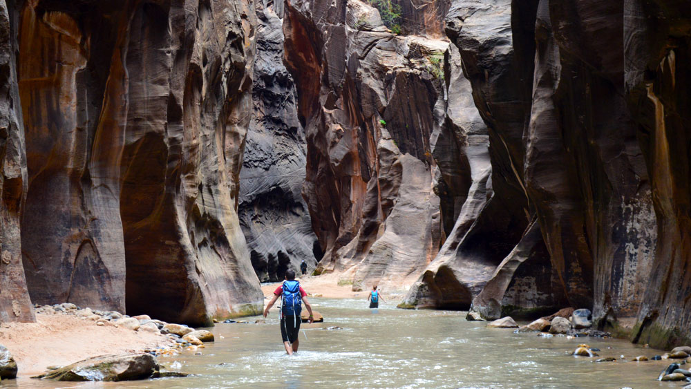 The Narrows slot canyon in Zion National Park